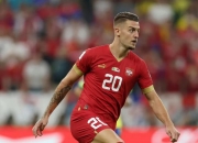 半岛体育活动-塞尔维亚队再次展现实力