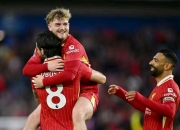 半岛体育网页版-利物浦主场不敌布莱顿，积分榜上失去领先优势的简单介绍