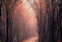 半岛体育培训-欧洲杯精采片段梁溢淋漓尽致，场面热血油然而生