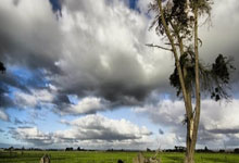 半岛体育网站入口-芬兰女子田径运动员刷新全国记录，挑战极限展现风采