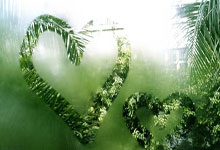 半岛体育直播-中超联赛外援政策调整，引发球迷热议——新规能否助力国内足球崛起？