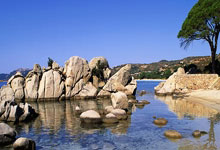 半岛体育活动-意甲青训Factory：未来之星的摇篮，一场足球皇家的盛宴