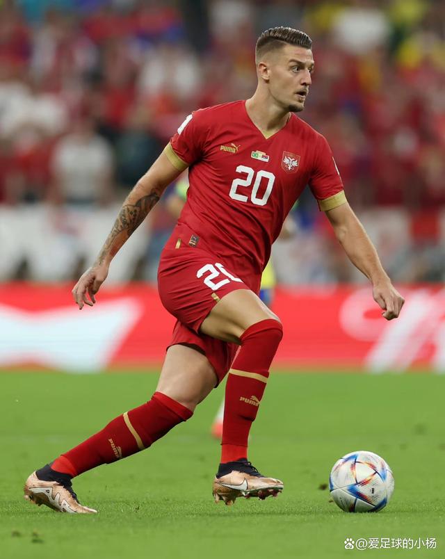 塞尔维亚队再次展现实力 塞尔维亚队再次展现实力